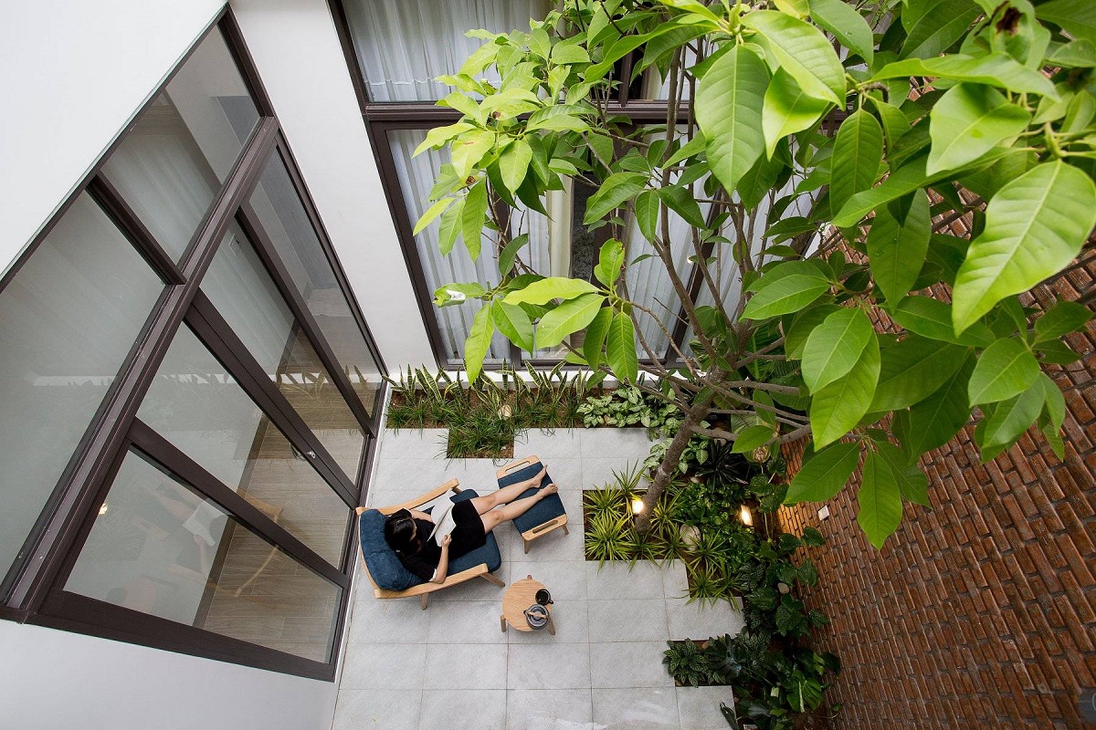 cây ngọc lan trồng nơi giếng trời