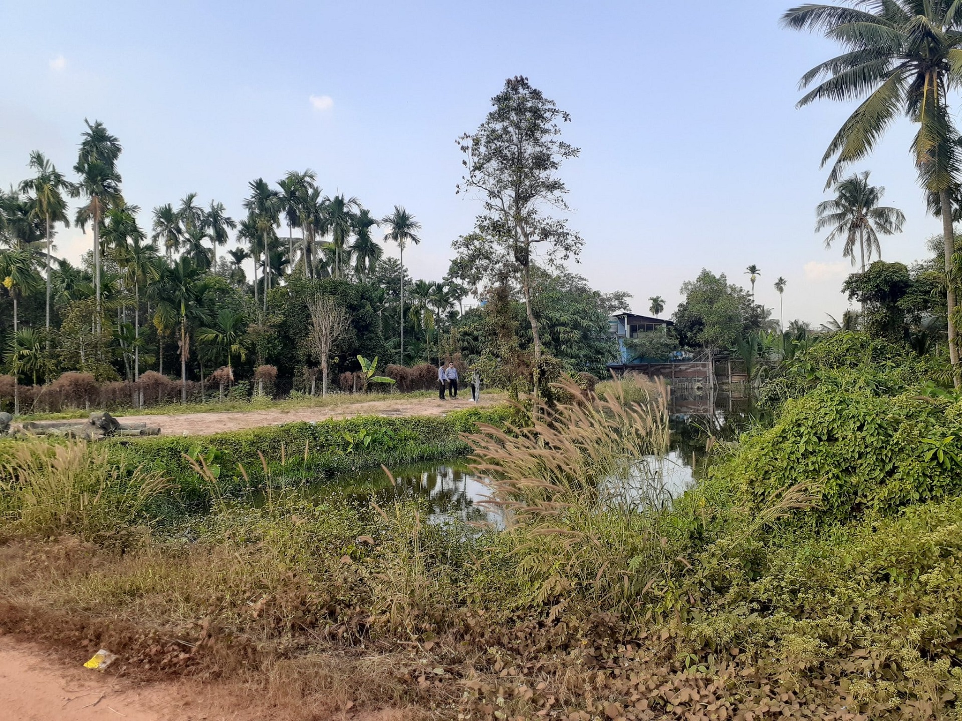 quan tâm về nhu cầu sử dụng