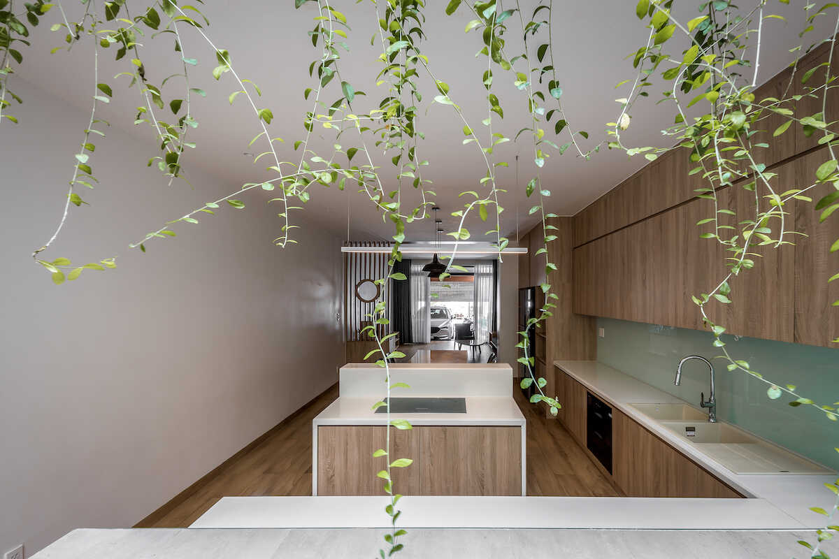 Mẫu nhà ống 3 tầng: Ấn tượng với cây cầu xanh nối liền hai khối nhà 3