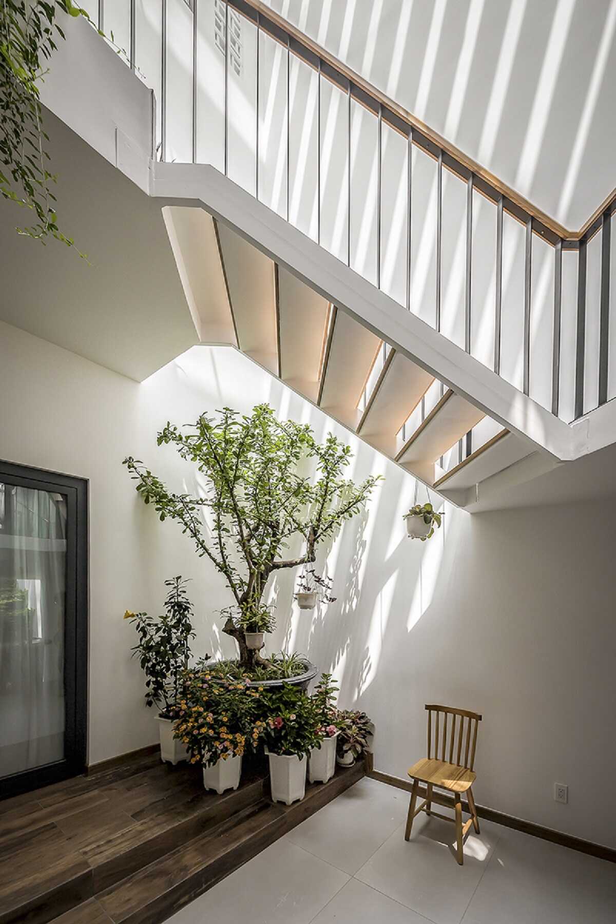 Mẫu nhà phố 4 tầng tràn ngập ánh sáng, cây xanh được yêu thích 12