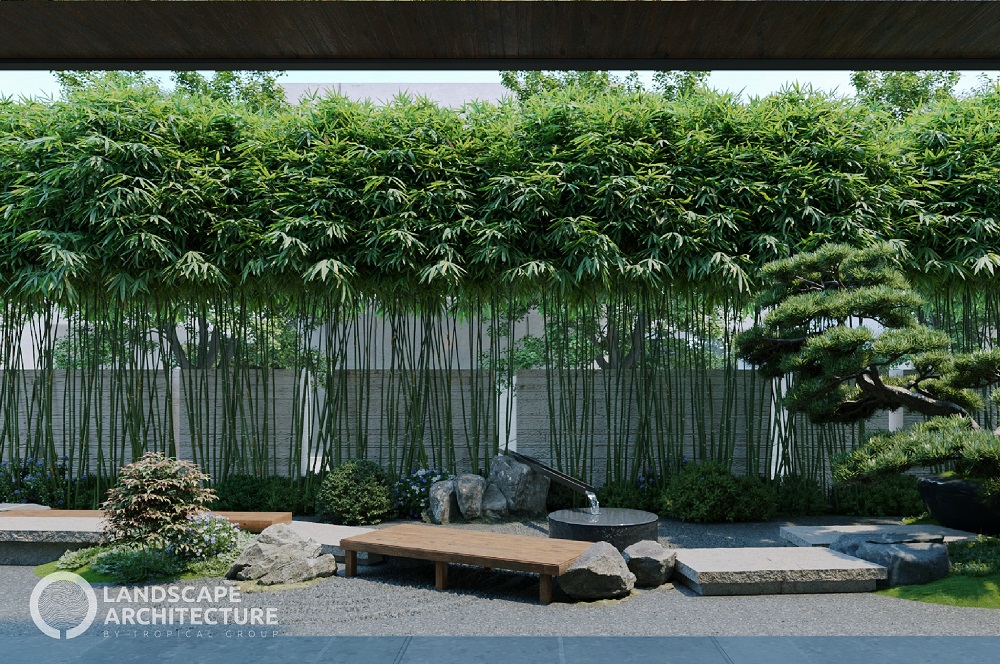 trồng cây trúc kiểng trước nhà