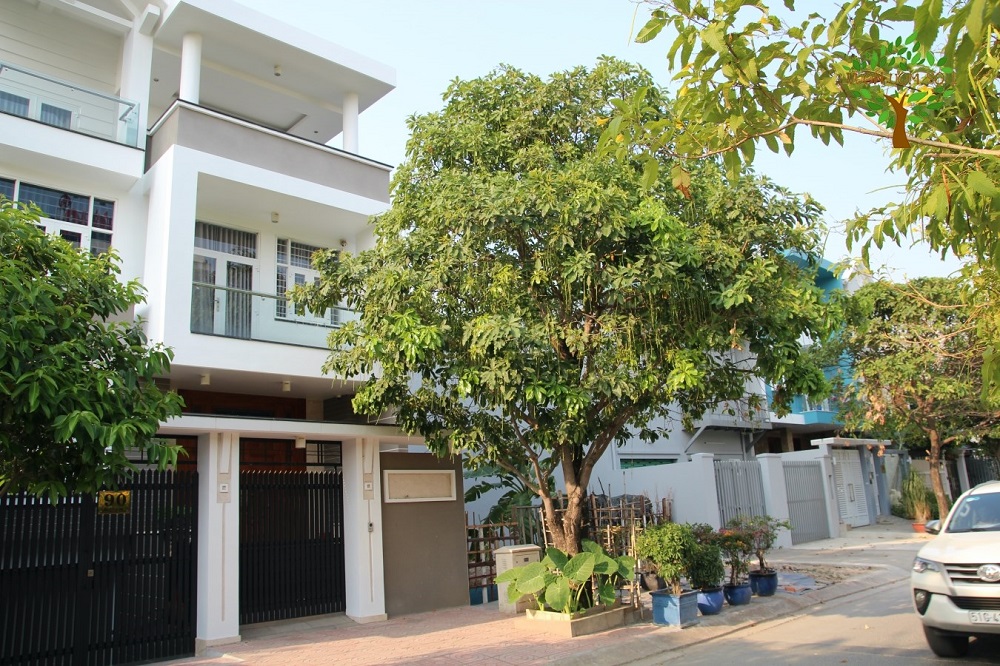 trồng trước nhà cây lộc vừng nhiều tài lộc thịnh vượng 1