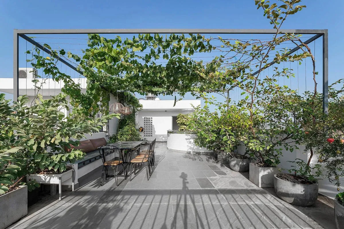 không gian sân thượng trồng cây ăn trái