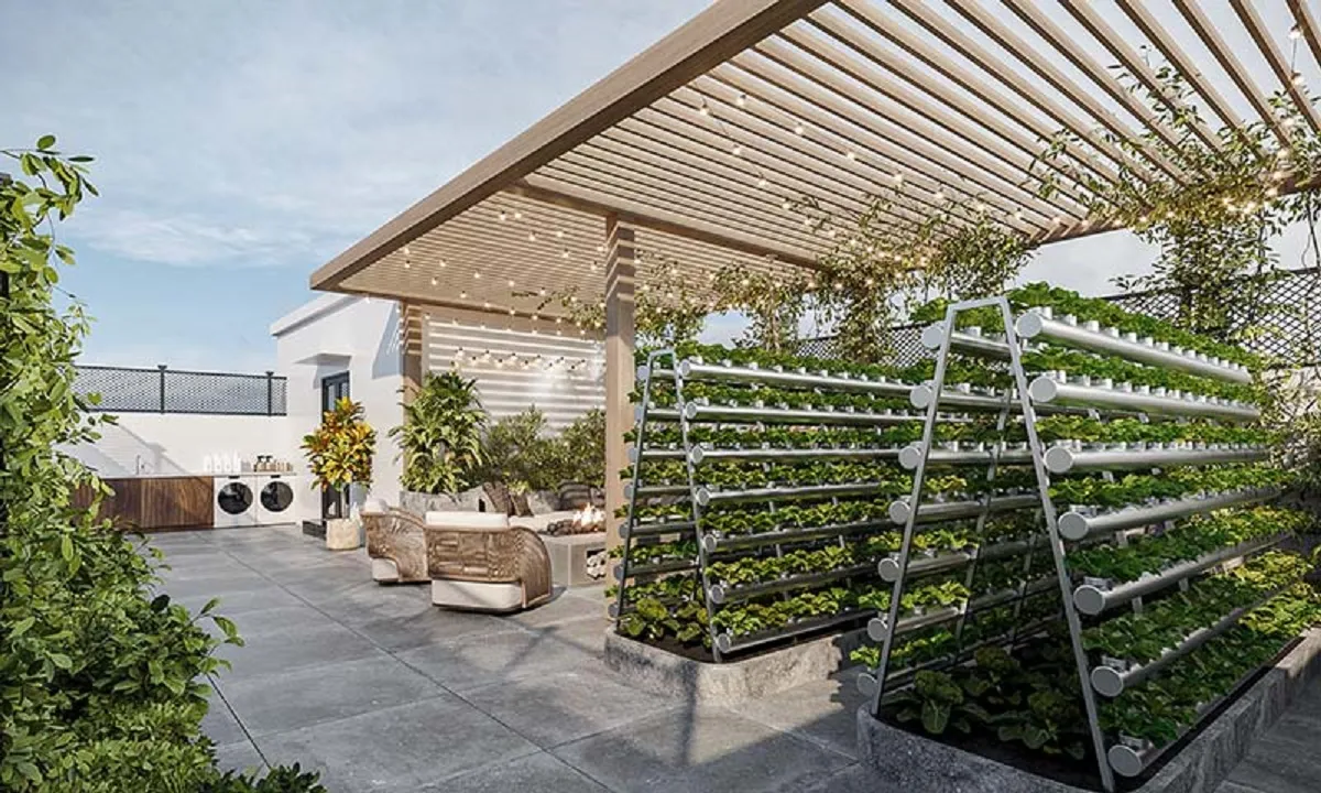 thiết kế vườn rau trên sân thượng