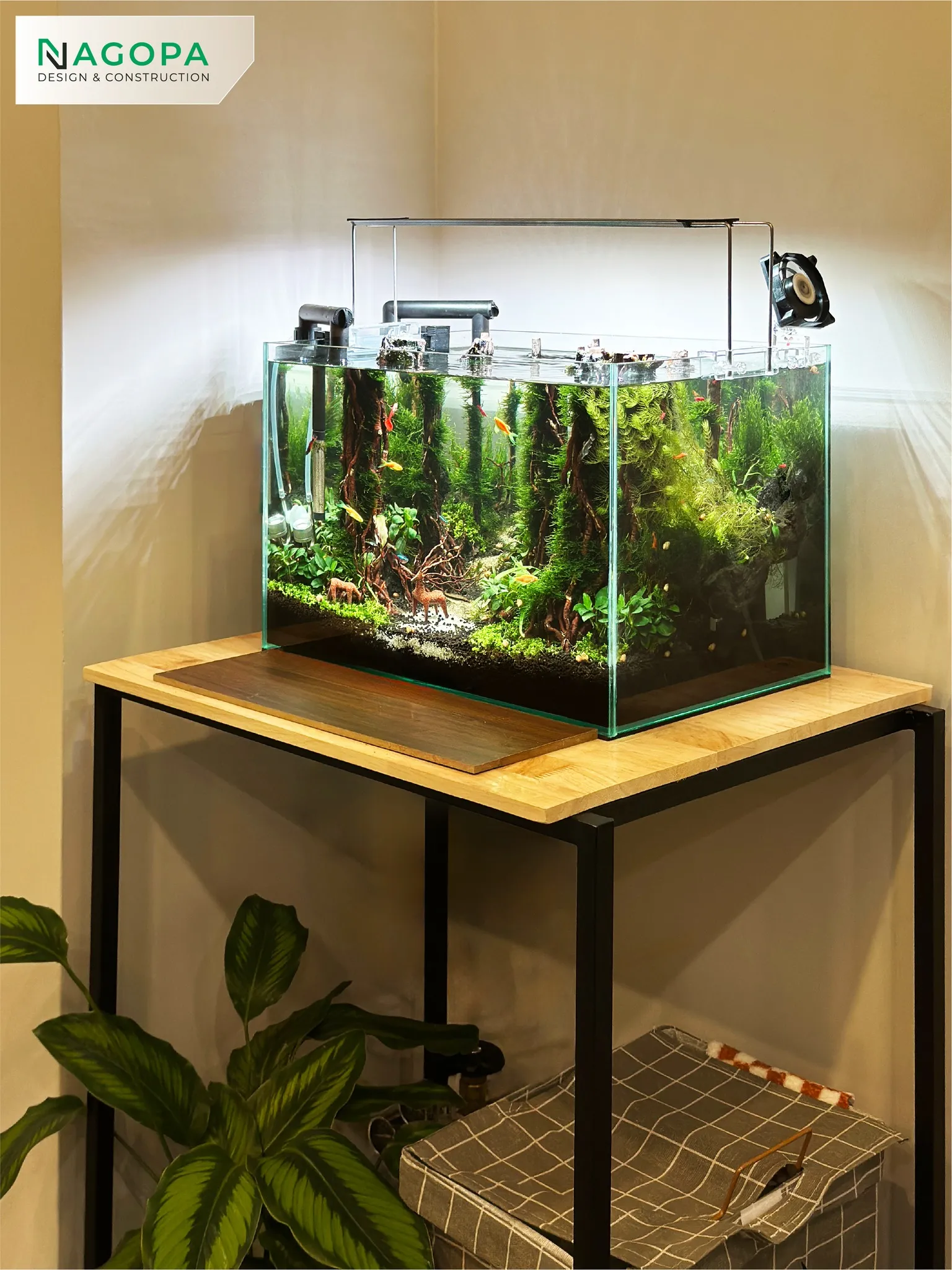 Hoàn thiện & Bàn giao: Tung’s House tại Thủ Dầu Một