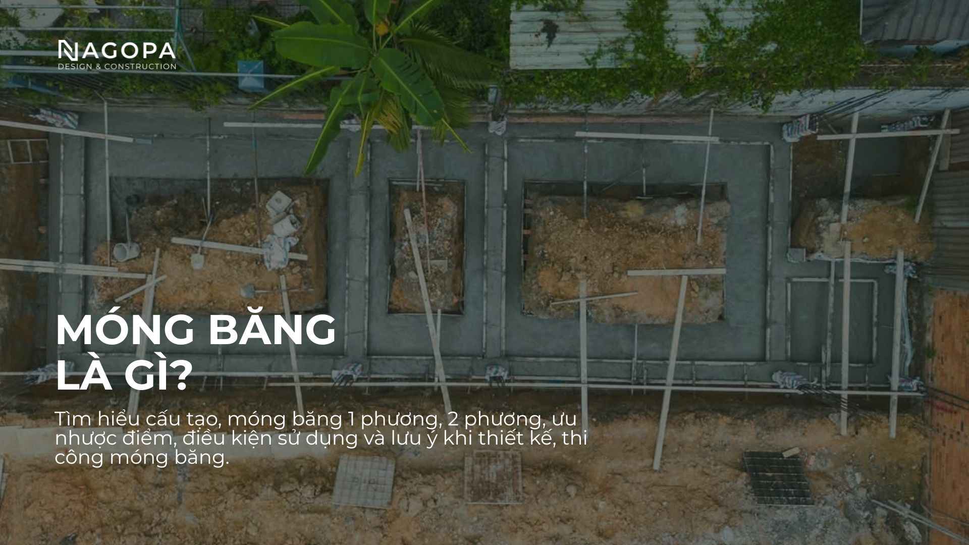 tìm hiểu về móng băng