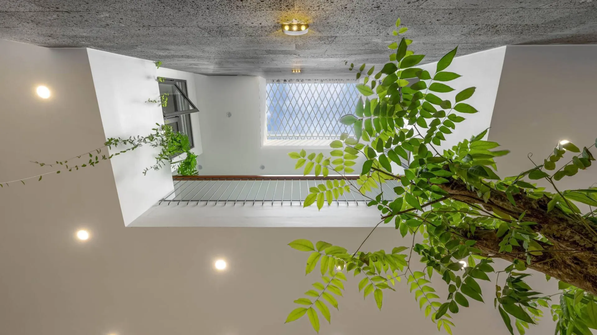 giếng trời là gì