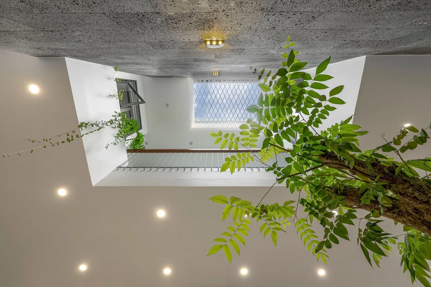 giải pháp lấy sáng và thông gió nhà 5×16