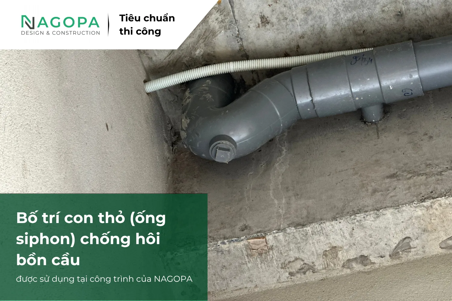 nagopa ứng dụng thỏ chống hôi vào công trình 