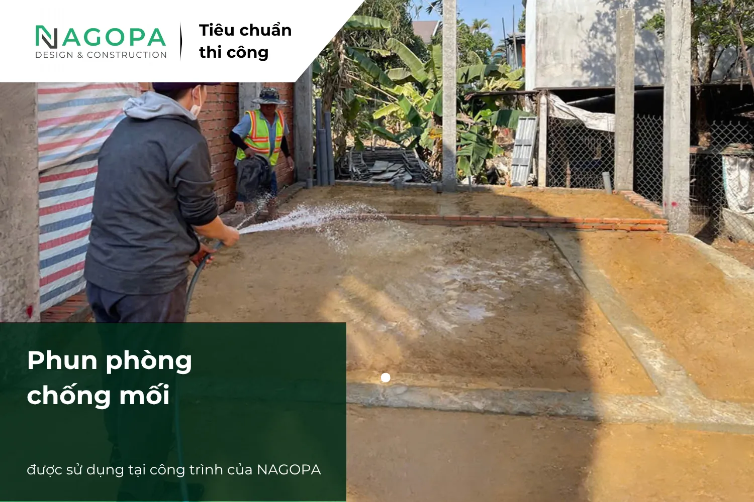 phun phòng chống mối được nagopa ứng dụng